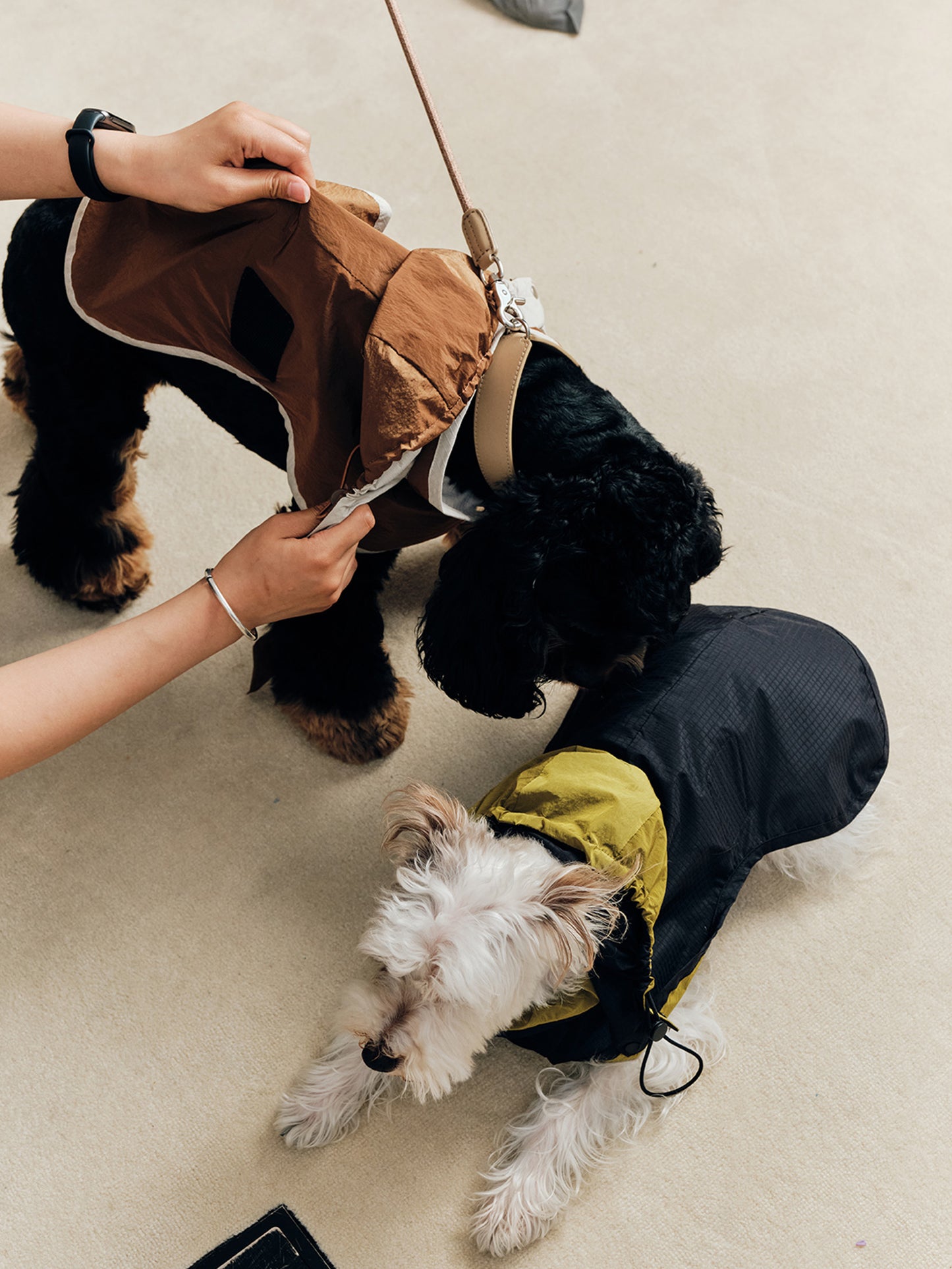 1ER | Poncho Style Raincoat